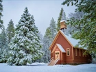 Stany Zjednoczone, Kalifornia, Park Narodowy Yosemite, Kościółek, Drzewa, Ośnieżone, Zima