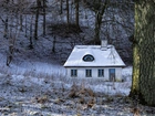 Zima, Las, Śnieg, Dom, Drzewa, Trawa