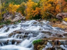Stany Zjednoczone, Arizona, Strawberry, Fossil Creek, Rzeka, Jesień, Drzewa, Skały