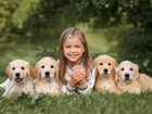 Dziewczynka, Cztery, Szczeniaki, Golden retrievery