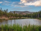 Góry, Jezioro, Hulsey Lake, Drzewa, Trawa, Arizona, Stany Zjednoczone