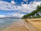 Stany Zjednoczone, Hawaje, Maui, Morze, Plaża, Palmy