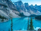 Drzewa, Góry, Jezioro, Moraine Lake, Park Narodowy Banff, Kanada