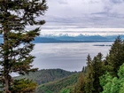 Stany Zjednoczone, Alaska, Jezioro, Góry, Drzewa