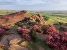 Wysokie, Skały, Wrzosy, Pola, Łąki, Drzewa, Park Narodowy Peak District, Anglia