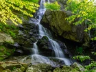 Wodospad, Apple Orchard Falls, Skały, Drzewa, Roślinność, Wirginia, Stany Zjednoczone