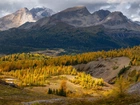 Góry, Góra, Nub Peak, Las, Drzewa, Jesień, Chmury, Park prowincjonalny Mount Assiniboine, Kolumbia Brytyjska, Kanada