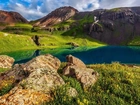 Góry, Kwiaty, Jezioro, Lake Basin, San Juan, Kolorado, Stany Zjednoczone