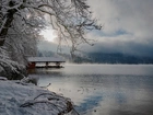 Niemcy, Bawaria, Zima, Jezioro Alpsee, Drzewa, Gałązki, Śnieg, Mgła, Chmury