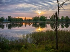Jezioro, Drzewa, Roślinność, Zachód słońca, Chmury