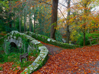Kamień, Most, Foleys Bridge, Las, Drzewo, Jesień, Tollymore Forest Park, Irlandia