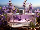Flakon, Perfumy, Lawenda, Kwiaty, Grafika, Kompozycja