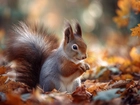 Wiewiórka, Suche, Jesienne, Liście, Grafika AI