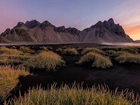 Islandia, Góry, Góra Vestrahorn, Plaża, Czarny, Piasek, Trawa, Kępki