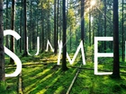 Las, Drzewa, Napis, Summer, Lato