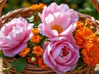 Kwiaty, Różowe, Piwonie, Pomarańczowe, Nagietki, Wiklinowy, Koszyk
