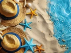 Morze, Plaża, Dwa, Kapelusze, Kolorowe, Rozgwiazdy