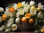 Kwiaty, Białe, Żółte, Tulipany, Koszyk