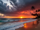 Ocean, Zachód słońca, Palmy, Niebo, Plaża, Grafika