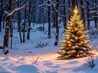 Zima, Las, Oświetlona, Choinka, Boże Narodzenie, Grafika