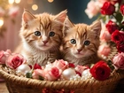 Rude, Dwa, Koty, Kotki, Koszyk, Kwiaty, Róże, Grafika