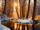 Las, Śnieg, Drzewa, Rzeka, Słońce