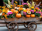 Kwiaty, Dynie, Wózek, Drewniany, AI