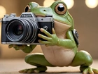 Żaba, Aparat fotograficzny, Grafika