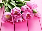 Tulipany, Różowe, Bukiet, Różowe, Deski