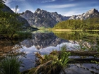 Austria, Góry, Jezioro, Almsee, Drzewa, Odbicie