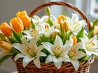 Kwiaty, Żółte, Tulipany, Białe, Lilie Kosz