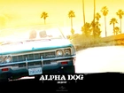 Alpha Dog, samochód, palmy