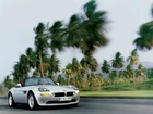 BMW Z8, Palmy