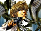 Saiyuki, giwera