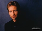 David Duchovny,ciemny strój