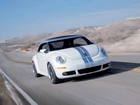 Volkswagen New Beetle