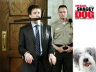 The Shaggy Dog, pałka, pies, policjant, garnitur