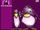 Pingwiny,  Linux