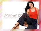 Sandra Bullock