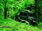 Film Tomb Raider, samochód, dżungla