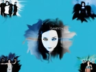 Evanescence,zespół,twarz