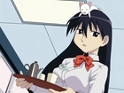 Azumanga Daioh, kobieta, kelnerka, tacka