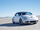 Volkswagen New Beetle