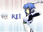 Neon Genesis Evangelion, strój, kobieta, rei