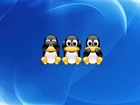 Linux, pingwin, ślepy, głuchy, niemowa, grafika