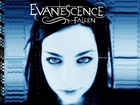 Evanescence,Falen, twarz