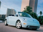 Volkswagen New Beetle