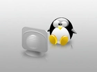 Linux, grafika, monitor, pingwin