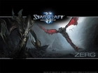skrzydła, Starcraft 2, grafika, logo