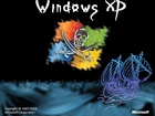 Windows XP, piraci, trupia czaszka